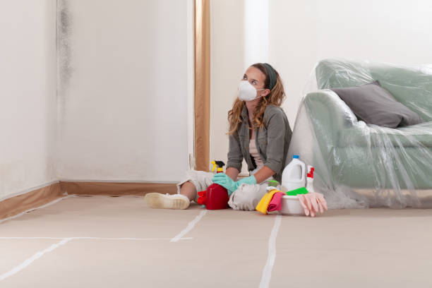Trusted Black Mold Removal service in Boyds, MD - WQB Mold Removal